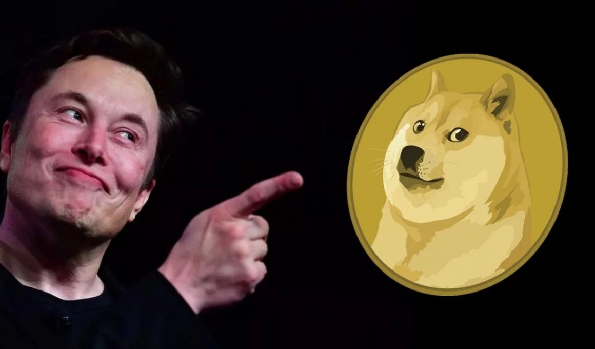 SpaceX Doge-1